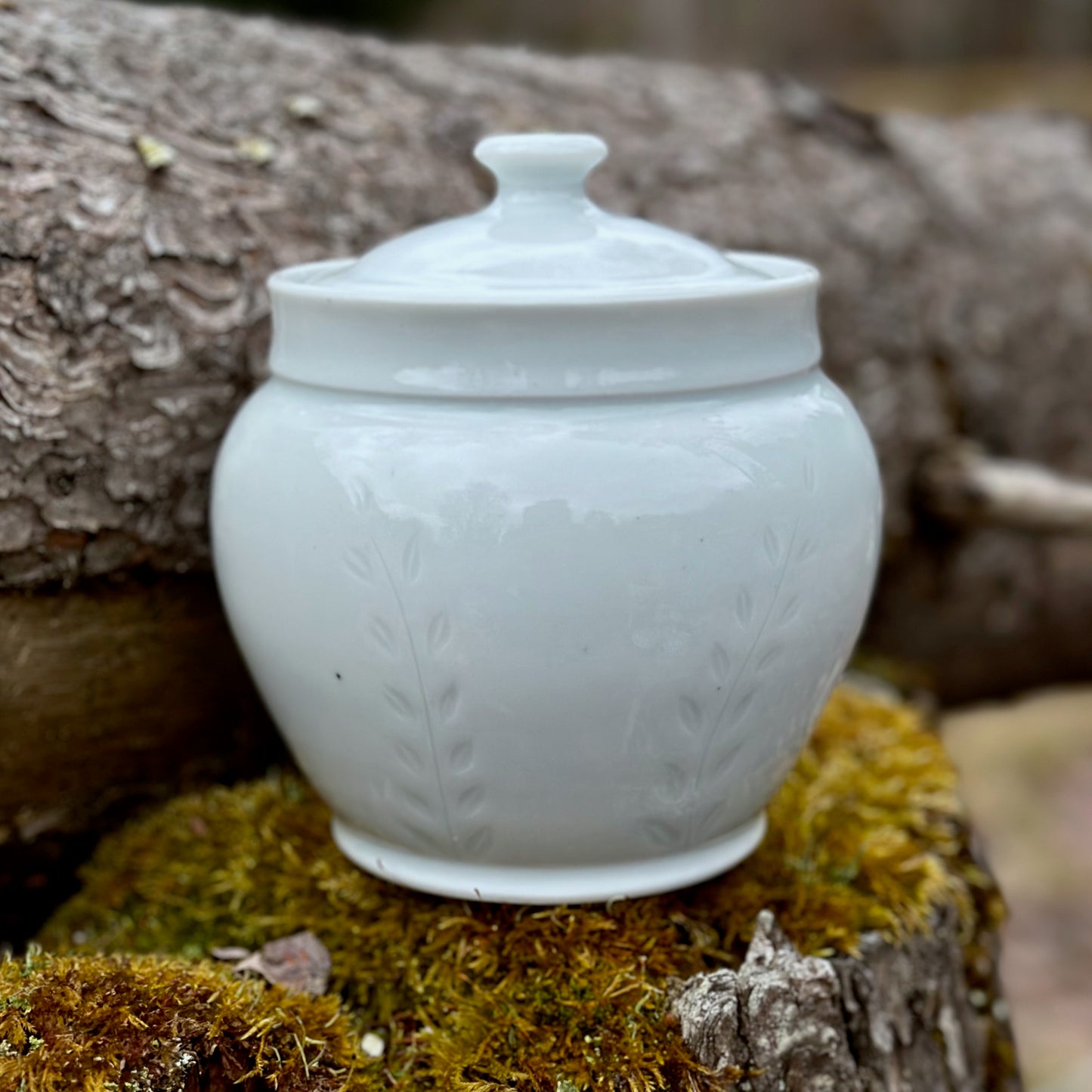 Porcelain Vine Storage Jar