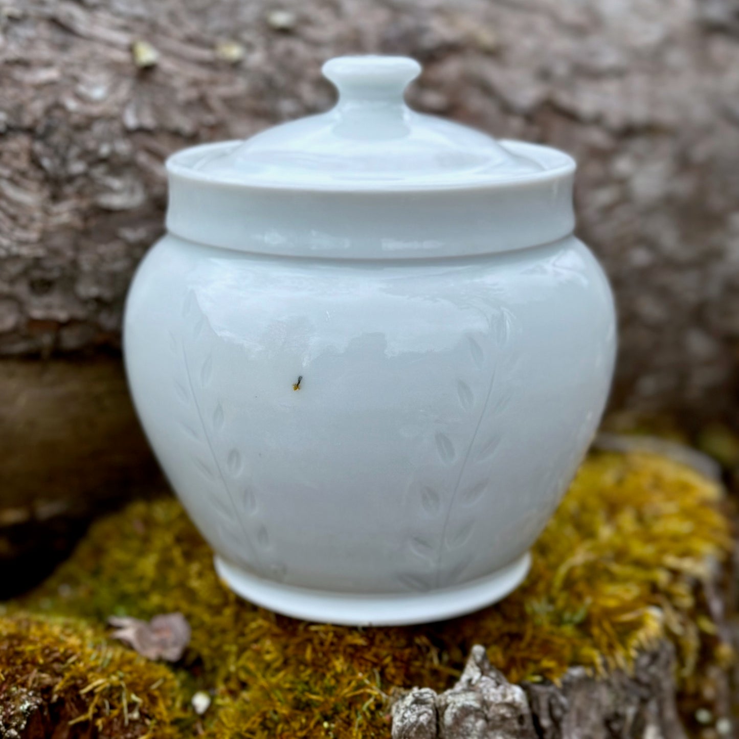 Porcelain Fern Storage Jar