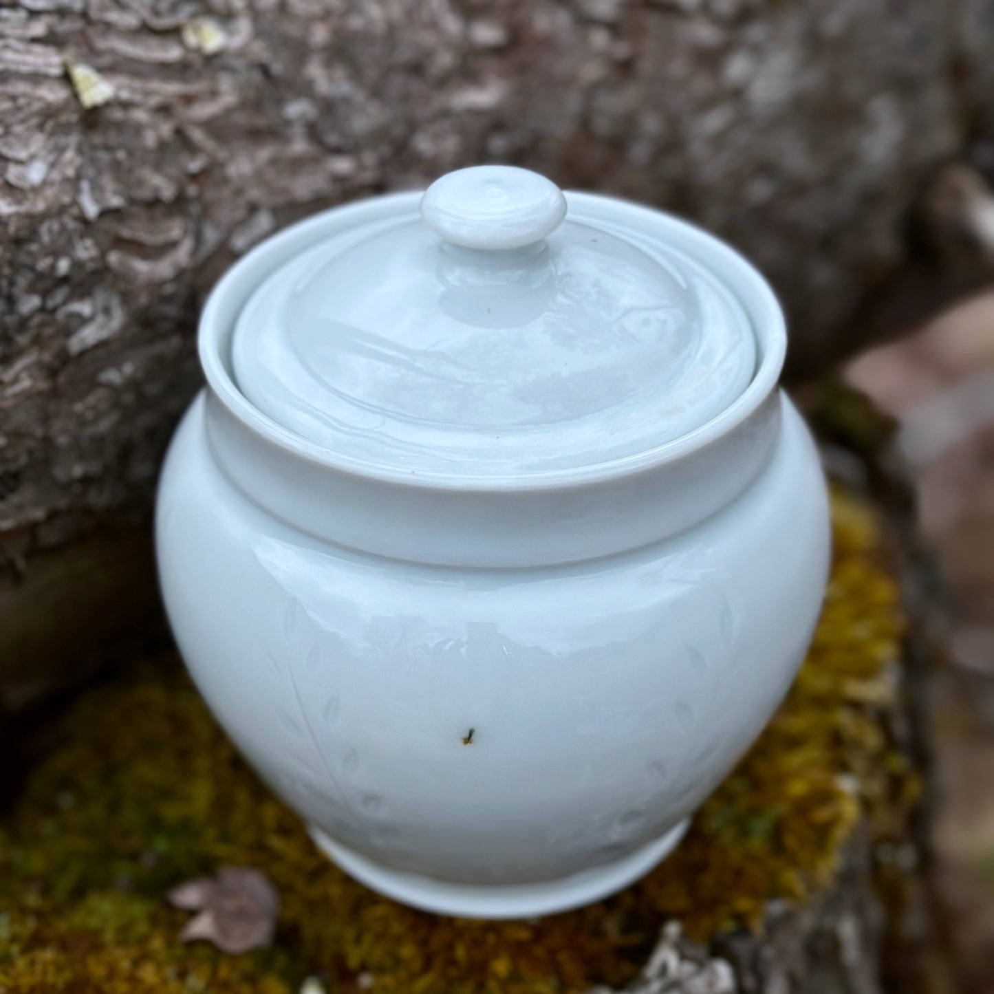 Porcelain Fern Storage Jar