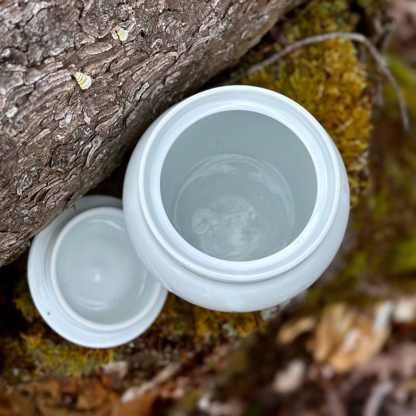 Porcelain Fern Storage Jar