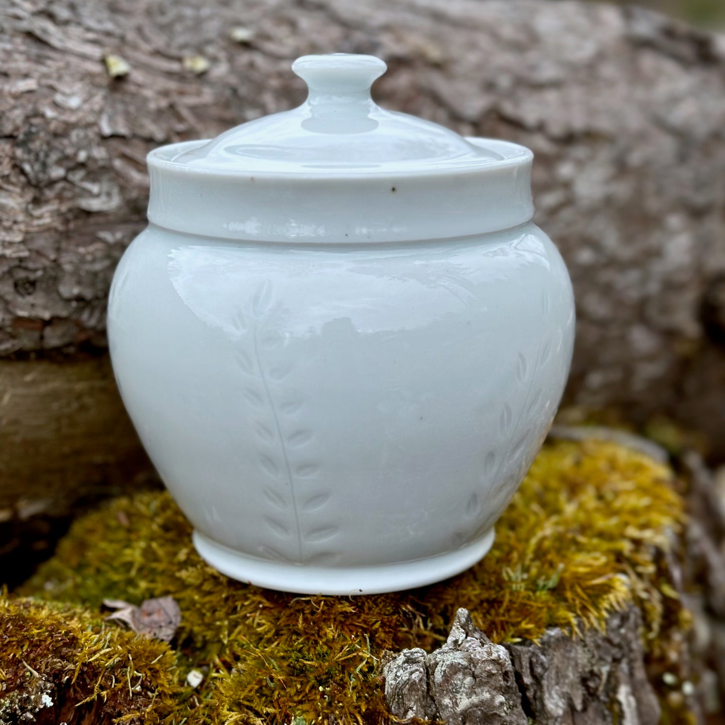 Porcelain Fern Storage Jar