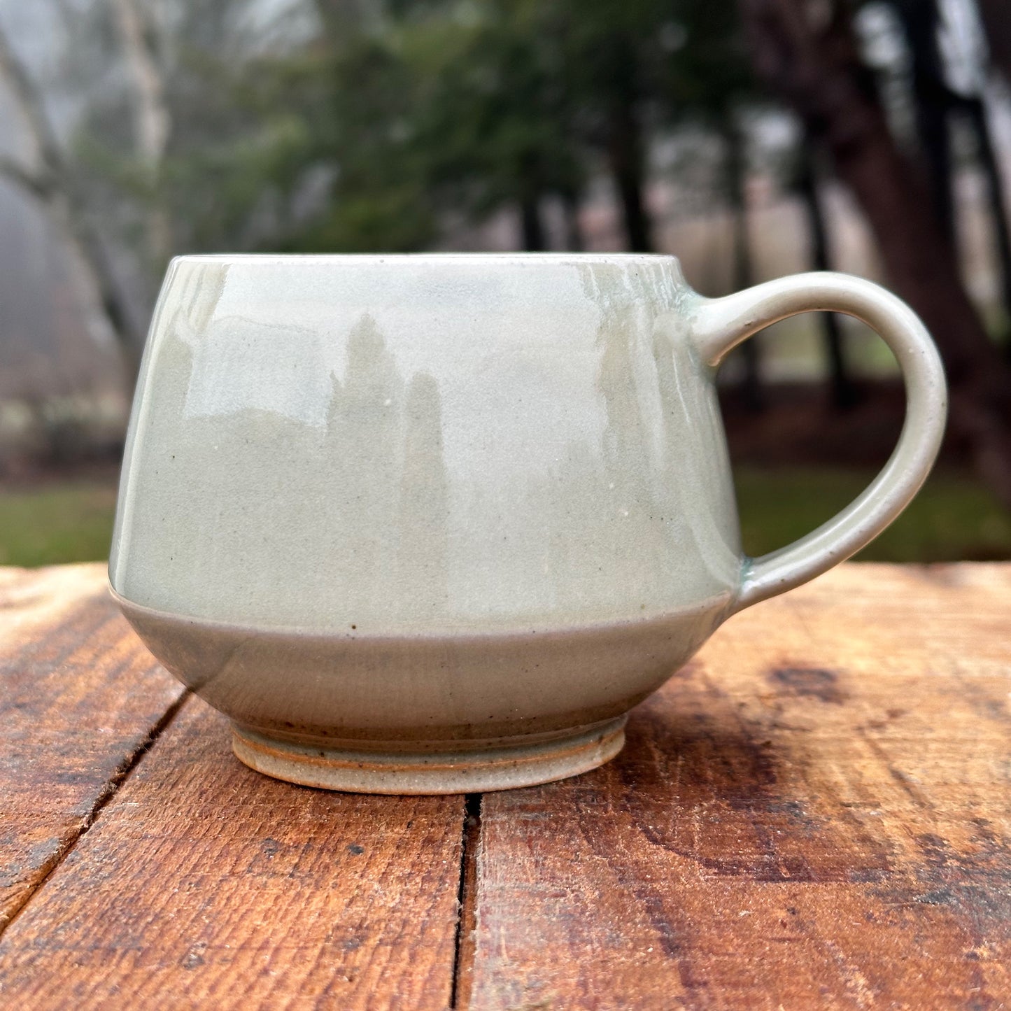 Queen Anne's Lace Celadon Angle Mug